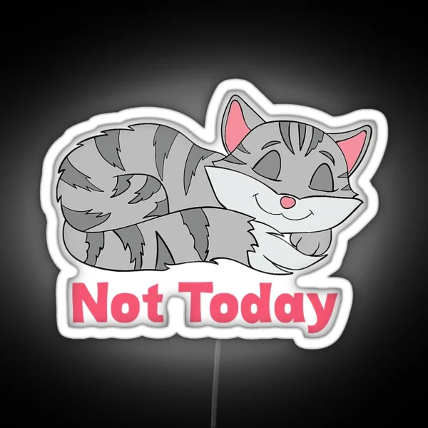 Not Today Sleeping Cat Kitten Owners RGB Neon Sign