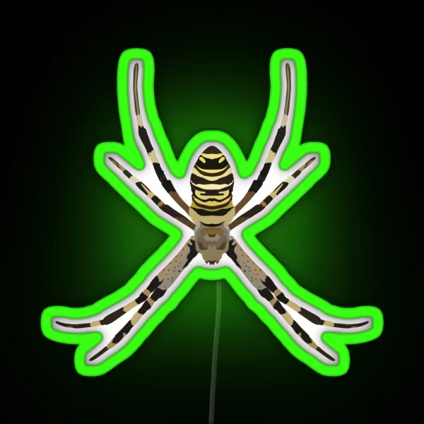 O Is For Orb Weaver RGB Neon Sign