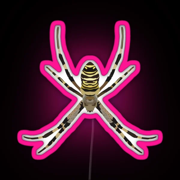 O Is For Orb Weaver RGB Neon Sign