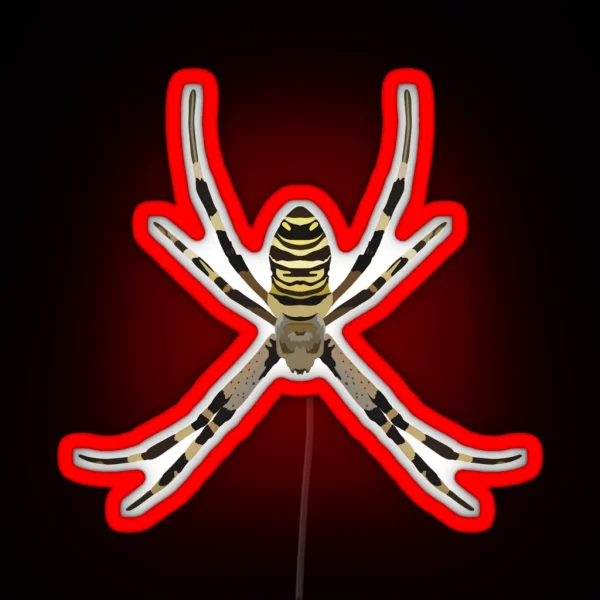 O Is For Orb Weaver RGB Neon Sign