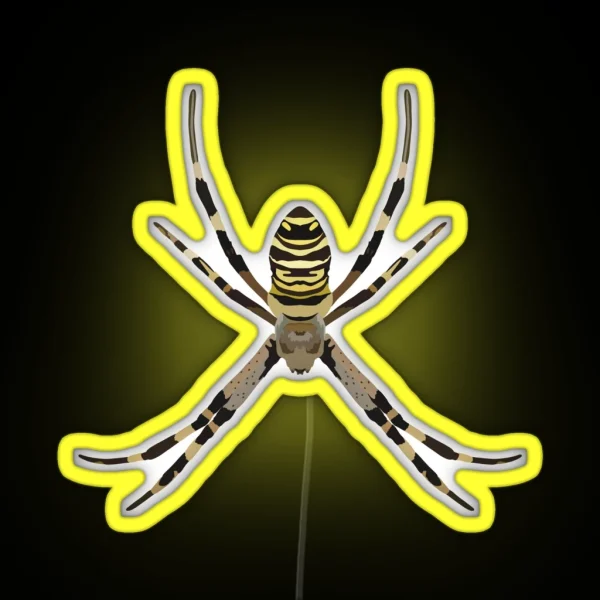 O Is For Orb Weaver RGB Neon Sign