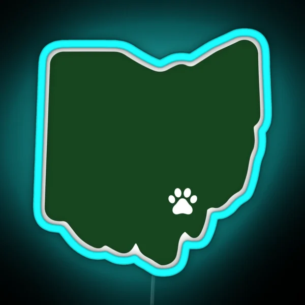 Ohio University Led RGB Neon Sign