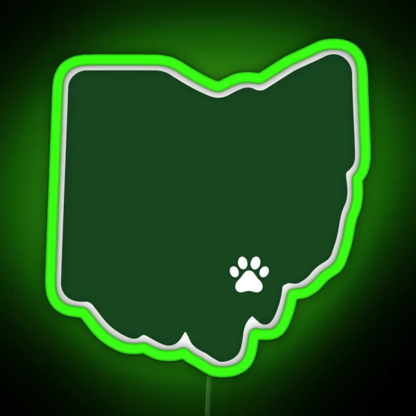 Ohio University Led RGB Neon Sign