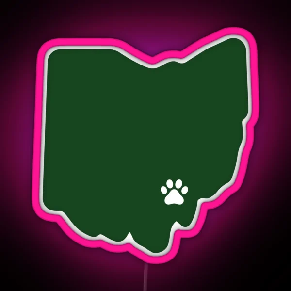 Ohio University Led RGB Neon Sign