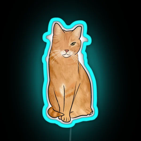 One Eyed Orange Cat RGB Neon Sign