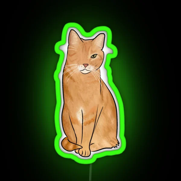 One Eyed Orange Cat RGB Neon Sign