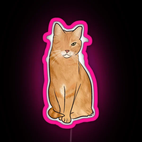 One Eyed Orange Cat RGB Neon Sign