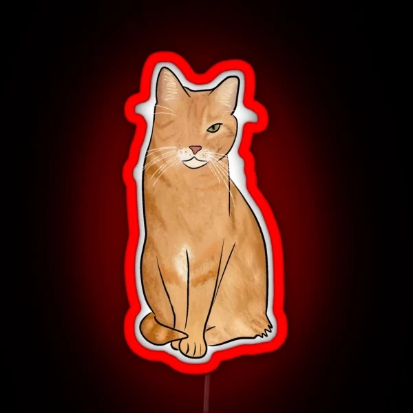 One Eyed Orange Cat RGB Neon Sign