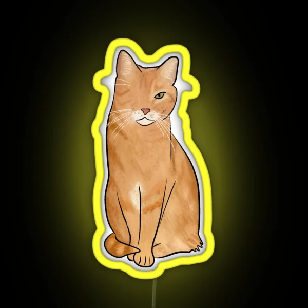 One Eyed Orange Cat RGB Neon Sign