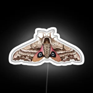 One Eyed Sphinx Moth Smerinthus Cerisyi RGB Neon Sign