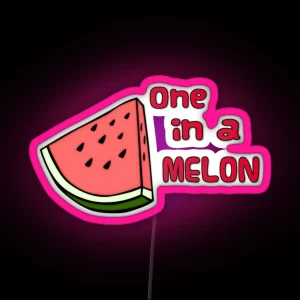 One In A Melon RGB Neon Sign