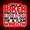 biker knows why dog sticks head out car window neon sign rgb funny humor