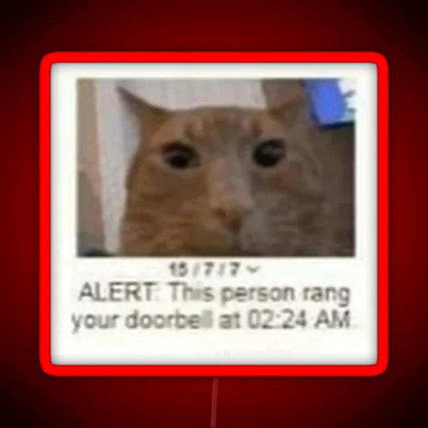 Orange Cat Meme This Person Rang Your Doorbell RGB Neon Sign