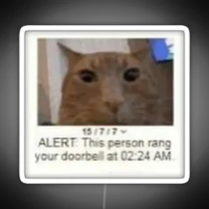 Orange Cat Meme This Person Rang Your Doorbell RGB Neon Sign