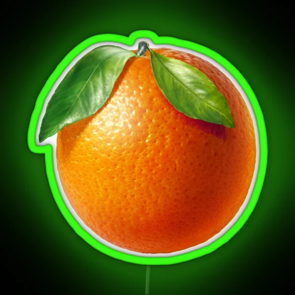 ORANGE Fruit RGB Neon Sign
