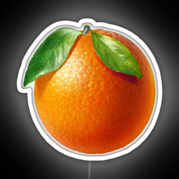 ORANGE Fruit RGB Neon Sign