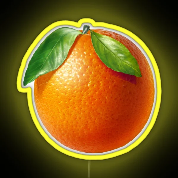 ORANGE Fruit RGB Neon Sign