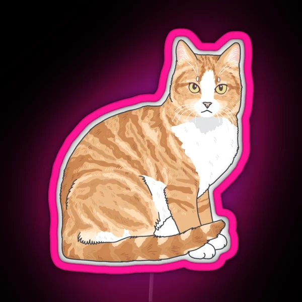 Orange Tabby Cat RGB Neon Sign