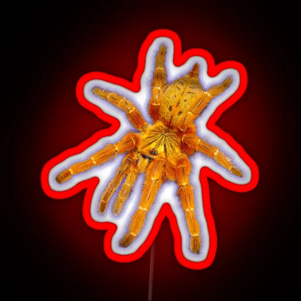 Orange Tarantula RGB Neon Sign