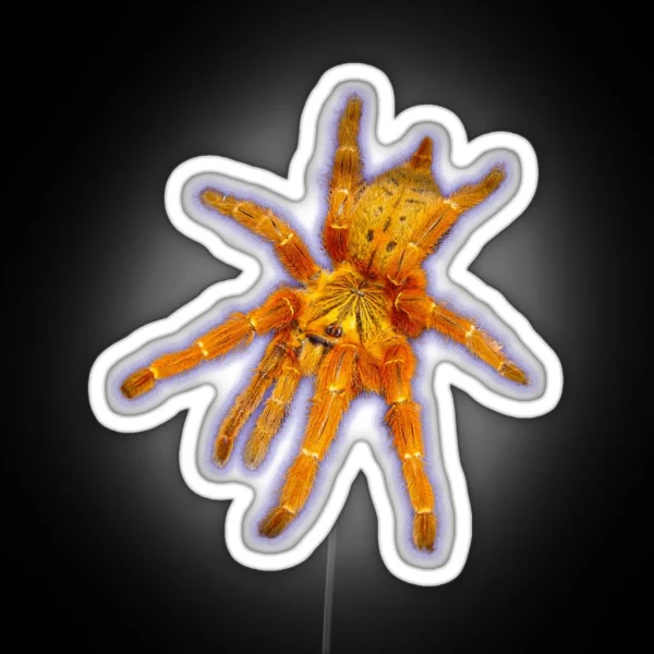 Orange Tarantula RGB Neon Sign
