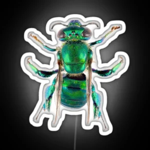 Orchid Bee Euglossini RGB Neon Sign