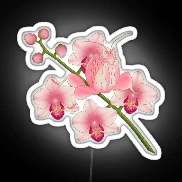 Orchid Mantis Beautiful Praying Mantis And RGB Neon Sign
