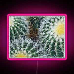 Parodia Magnifica Prickly Cactus RGB Neon Sign