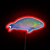 Neon RGB Parrotfish Sign Red Design