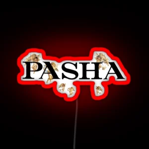 Pashanim Logo RGB Neon Sign