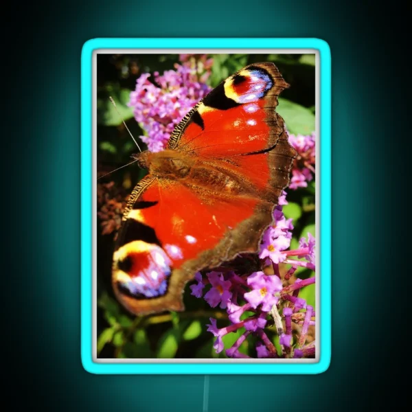 Peacock Butterfly On Buddleia Flower RGB Neon Sign