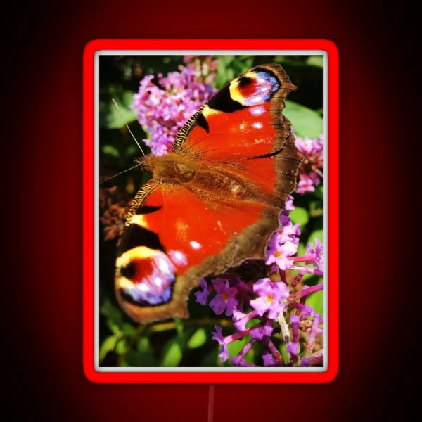 Peacock Butterfly On Buddleia Flower RGB Neon Sign