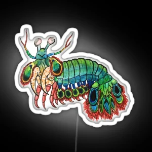 Peacock Mantis Shrimp Watercolor RGB Neon Sign