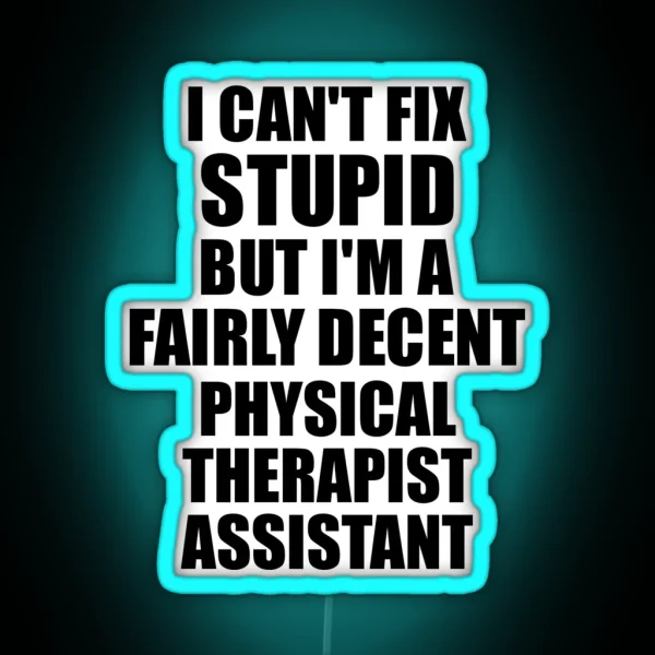 Physical Therapist Assistant I Can T Fix Stupid Funny Gift Idea For Coworker Fellow Worker Gag Workmate Joke Fairly Decent RGB Neon Sign