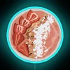 pink-smoothie-bowl-rgb-neon-sign