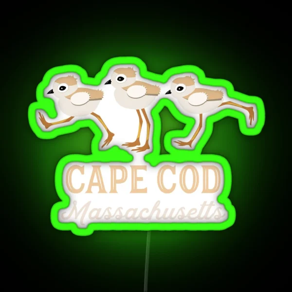 Piping Plovers Cape Cod Massachusetts RGB Neon Sign