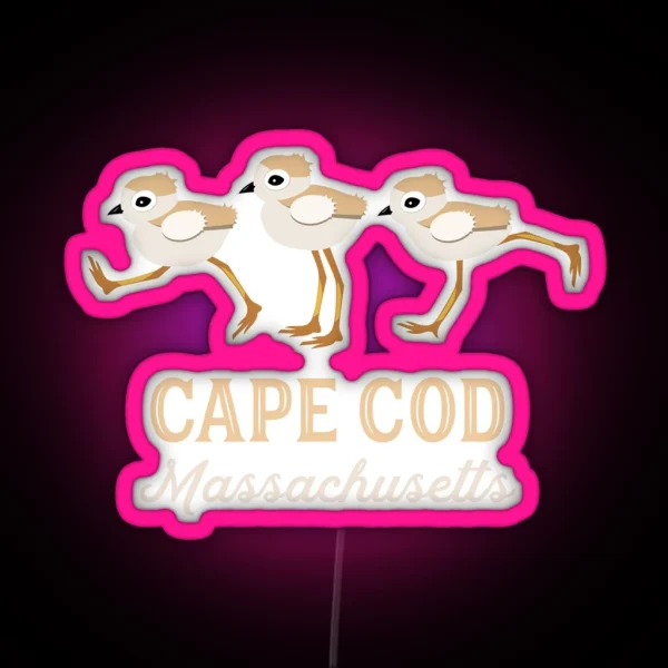 Piping Plovers Cape Cod Massachusetts RGB Neon Sign