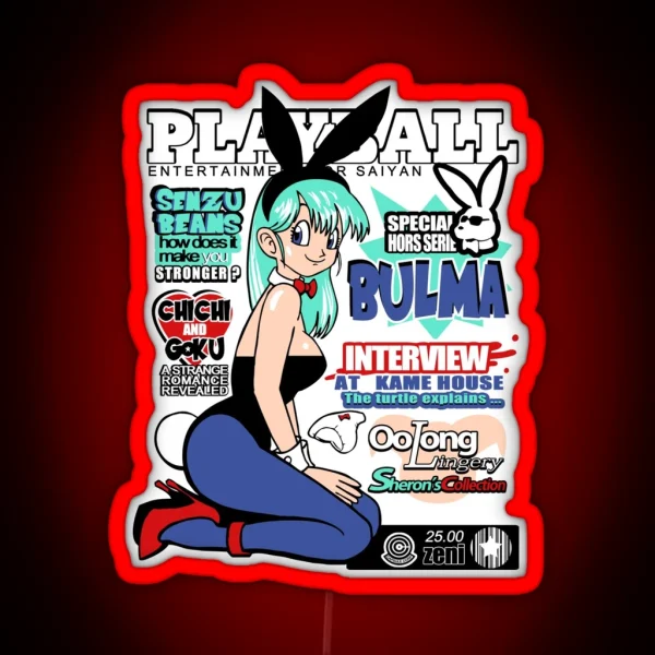 Playball Bulma RGB Neon Sign