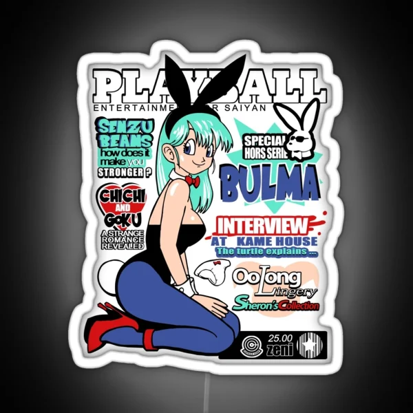 Playball Bulma RGB Neon Sign