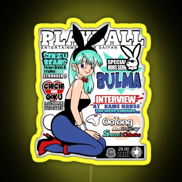 Playball Bulma RGB Neon Sign