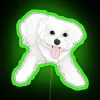 playful maltese rgb neon sign in green