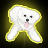 playful-maltese-rgb-neon-sign-yellow