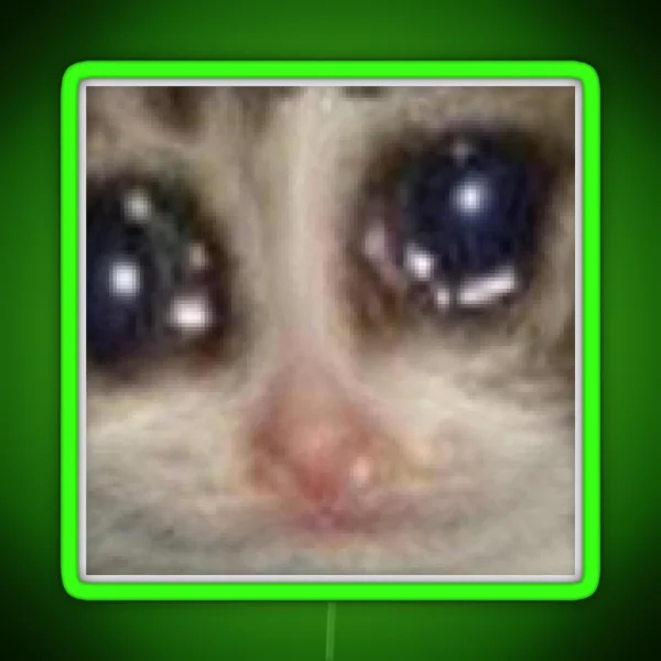 Please Cat Meme RGB Neon Sign