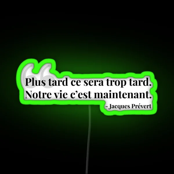 Plus Tard Ce Sera Trop Tard RGB Neon Sign