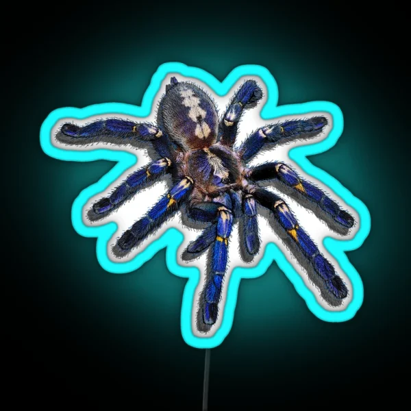 Poecilotheria Metallica Tarantula RGB Neon Sign