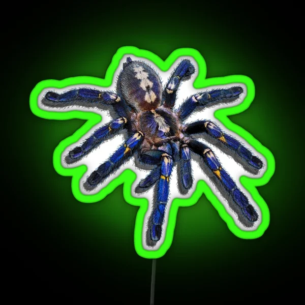 Poecilotheria Metallica Tarantula RGB Neon Sign