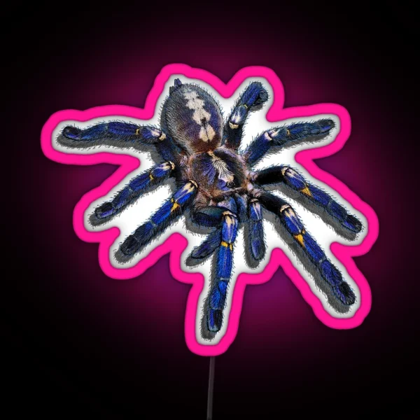 Poecilotheria Metallica Tarantula RGB Neon Sign