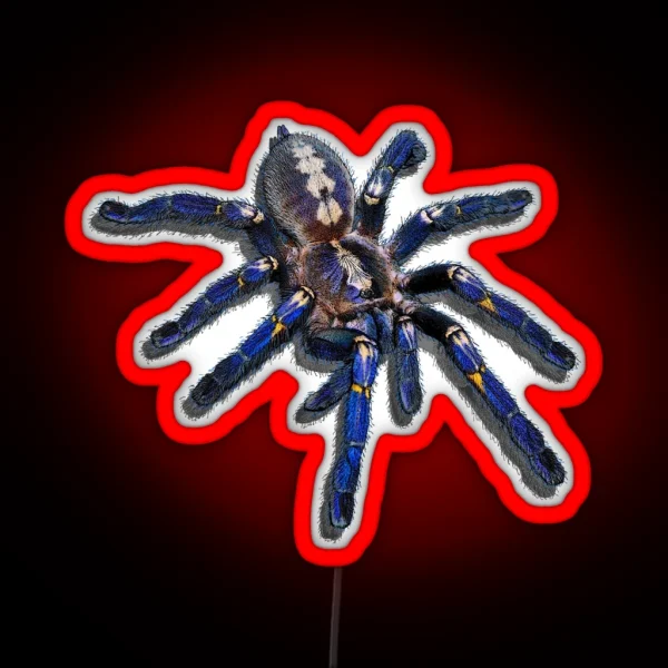 Poecilotheria Metallica Tarantula RGB Neon Sign