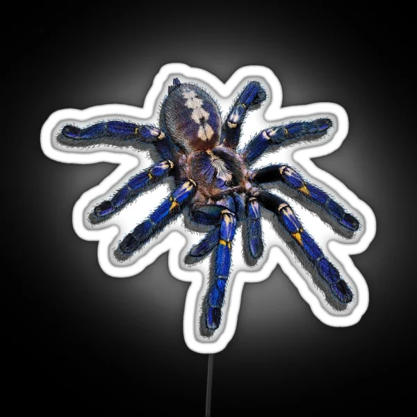 Poecilotheria Metallica Tarantula RGB Neon Sign