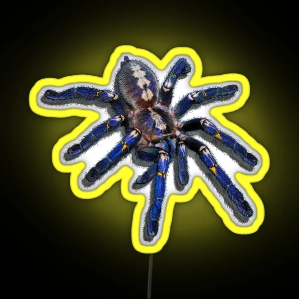 Poecilotheria Metallica Tarantula RGB Neon Sign
