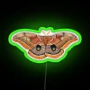 Polyphemus Moth (Antheraea polyphemus) - Neon RGB Green Sign Image II